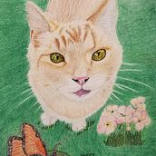 Pets - Colored Pencils . % Diane Ackley tarafından hazırlanan Güzel sanatlar, Geleneksel illüstras, on, Çizim, Ve Gerçekçi Çizim projesi - 03.27.2023