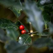 Mi proyecto del curso: Fotografía de paisaje y naturaleza. Fotografia, Fotografia em exteriores, Fotografia para Instagram, Fotografia documental, e Composição fotográfica projeto de nuriaesparis - 21.08.2024