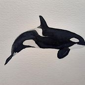 My project for course: Naturalist Illustration Techniques: Whales in Watercolor. Fine Arts, Painting, Watercolor Painting, and Naturalistic Illustration project by liya_volpi - 08.21.2024