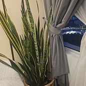 My project for course: Home Styling and Decoration with Plants. Un proyecto de Diseño interactivo, Decoración de interiores, Interiorismo, DIY, Diseño floral y vegetal de Juliana Megat - 23.08.2024