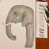 Elefante  Ein Projekt aus dem Bereich Aquarellmalerei von CatitArt - 09.08.2024