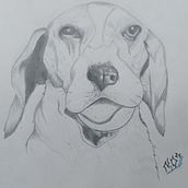 Mi proyecto del curso: Dibujo naturalista de animales con grafito. Traditional illustration, Pencil Drawing, Drawing, and Naturalistic Illustration project by Noemi Vazquez - 08.22.2024