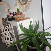 BOHO NATURAL GREENERY  HOME DECOR. Un proyecto de Diseño de interiores de Juliana Megat - 22.08.2024
