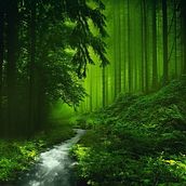 My project for course: Memoir Writing: Write a Personal Story for a Universal Audience. Een project van Schrijven, Verhaallijn, Non-fictie schrijven y Creatief schrijven van DEEPANKAR OJHA - 31.07.2024