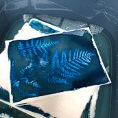 Progrès en cyanotype, du végétal au négatif, du papier au tissus . Fotografie de sylviapiga - 08.01.2024