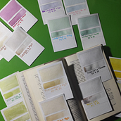 Mi proyecto del curso: Creación de acuarelas líquidas y tintas botánicas. Un projet de Artisanat, Beaux Arts, Peinture, Aquarelle, DIY , et Théorie des couleurs de Daniel Pinchete Nebreda - 31.08.2024