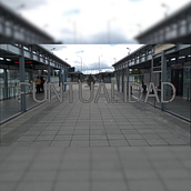 Mi proyecto del curso: Montaje audiovisual profesional con Adobe Premiere Pro Ein Projekt aus dem Bereich Kino, Video und TV, Video, Stor, telling und Videobearbeitung von cfojedab - 26.08.2024