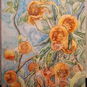 My project for course: Daily Sketching for Creative Inspiration. Traditional illustration, Sketching, Creativit, Drawing, and Sketchbook project by b_walendy - 11.20.2024