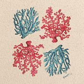 Bloom Where You are Planted. Un proyecto de Ilustración tradicional de dina tania - 29.08.2024