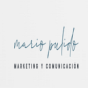 Mi proyecto del curso: Creación de contenidos con IA. Artificial Intelligence, and AI Content Creation project by Mario Pulido González - 08.29.2024