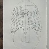 Meu projeto do curso: Desenho anatômico para principiantes. Un projet de Beaux Arts, Esquisse , Dessin au cra, on, Dessin, Dessin anatomique et Illustration traditionnelle de annycaldonazzi - 29.08.2024