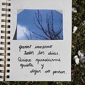 Mi proyecto del curso: Diario de poesía visual: narra con fotografía y versos. Portrait Photograph, Digital Photograph, Fine-Art Photograph, Lifest, le Photograph, and Self-Portrait Photograph project by Constanza Peyran - 08.30.2024