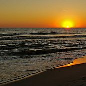 Mi proyecto del curso: Diseño gráfico para principiantes. Un proyecto de Diseño, Diseño gráfico y Diseño de logotipos de yulietsaraymelendez - 31.08.2024