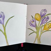 My project for course: Illustrating Nature with Watercolor and Pen . % Deb Thompson tarafından hazırlanan Geleneksel illüstrasyon, Güzel sanatlar, Tablo, Çizim, Suluboya Resim, Ve Botanik İllüstrasyon projesi - 09.01.2024