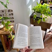 Decoración del hogar con plantas. Un proyecto de Diseño de interiores y Decoración de interiores de Camila Sanchez - 01.09.2024