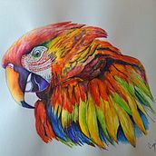 Gucamayo Bandera - Cati Gómez - Técnica mixta. Un progetto di Illustrazione tradizionale di Catalina Gómez - 02.09.2024