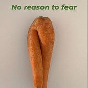  NO REASON TO FEAR #vaibenecosì. Criatividade projeto de marinella_protopapa - 01.09.2024