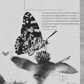 Butterfly Effect . Graphic Design project by Athanasios Papatatsis - 09.01.2024