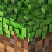 Minecraft Expression After Effects. Animation, and Motion Graphics project by Brandon Gonzalez Carranza - 08.28.2024