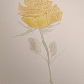 Rosa / acuarela . Een project van Traditionele illustratie van Andrea Zamorano R. - 03.09.2024