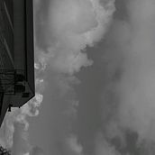 Mi proyecto del curso: Guía práctica para aprender a manejar tu cámara digital desde cero. Un proyecto de Fotografía y Fotografía digital de Elisa Guzmán Holguín - 30.08.2024