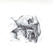 Il mio progetto del corso: Ritratto realistico con penna. Un progetto di Disegno, Disegno artistico, Disegno di ritratti, Disegno realistico e Illustrazione tradizionale di giusi.calli - 05.09.2024