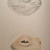 My project for course: Surrealist Illustration Inspired by Nature. Un projet de Dessin, Dessin au cra, on, Dessin artistique, Illustration traditionnelle, Illustration naturaliste, Dessin aux cra , et ons de couleur de rie_1y1 - 04.09.2024
