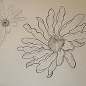 My project for course: Sketchbook Illustration with Pen: Embracing Mistakes. Un projet de Dessin, Illustration à l'encre, Carnet de croquis , et Esquisse  de rie_1y1 - 05.09.2024