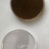My project for course: Biomaterials: Creating Materials Using Organic Waste.. Arts, Crafts, and DIY project by Max Kevane-Campbell - 09.06.2024