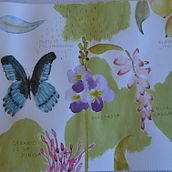 Mi proyecto del curso: Diario naturalista en acuarela. Naturalistic Illustration project by Mirna Cruz - 09.07.2024