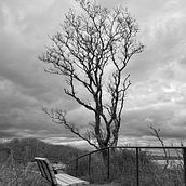Dias de Tormenta. Photograph, Mobile Photograph, Outdoor Photograph, and Fine-Art Photograph project by tatidelgado - 09.08.2024