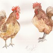 Aves Ein Projekt aus dem Bereich Traditionelle Illustration von Marinês Santos - 17.11.2023