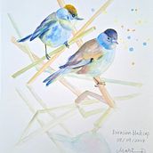 My project for course: Artistic Watercolor Techniques for Illustrating Birds. Traditional illustration, Watercolor Painting, Realistic Drawing, and Naturalistic Illustration project by surmesgenoux - 09.08.2024