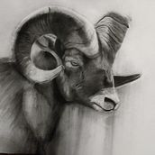 Mi proyecto del curso: Dibujo expresivo con carboncillo. Drawing, Fine Arts, Portrait Drawing, and Naturalistic Illustration project by eduafuert - 09.08.2024