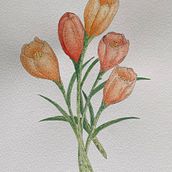 Mi proyecto del curso: Ilustración de la naturaleza con acuarela y plumilla. Botanical Illustration, Drawing, Fine Arts, Traditional illustration, Painting, and Watercolor Painting project by Angélica Concepción - 09.09.2024