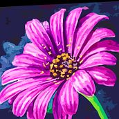 Art of mandalas draw geometrical designs. Arts, Crafts, and Traditional illustration project by Hamda Khan - 09.10.2024