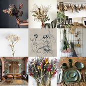Proyecto de fin de curso: La Alquimia de las plantas. Decoration, Interior Design, DIY, L, scape Architecture, Floral, and Plant Design project by Andrea López Claros - 09.11.2024