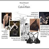 Lace Design for Calvin Klein During My Time in China Working for Best Pacific. Textile Design, Fashion Design, Fashion Illustration	, Product Design, Collage, Vector Illustration, Digital Illustration, and Botanical Illustration project by Aashika Chakrabarti - 09.12.2024
