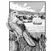 Mi proyecto del curso: Ilustración con tinta y plumilla: captura el mundo natural. Artistic Drawing, Drawing, Ink Illustration, Naturalistic Illustration, Sketchbook, and Sketching project by esteve_fontarnau - 09.12.2024