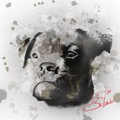 Procreate Digital Art. Fine Arts project by Bill De Loach - 09.13.2024