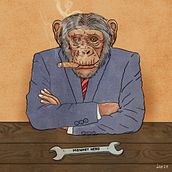 Monkey hero. Digital Illustration project by Leonardo Sato - 09.14.2024