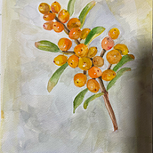 My project for course: Botanical Watercolor Sketchbook. Un proyecto de Ilustración tradicional, Pintura a la acuarela, Ilustración botánica y Sketchbook de Zheng Pq - 16.09.2024