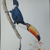 Meu projeto do curso: Técnicas expressivas de aquarela para ilustração de pássaros. Traditional illustration, Watercolor Painting, Realistic Drawing, and Naturalistic Illustration project by asafejesse - 09.17.2024