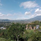 Nature of Bogor picture. Un progetto di Fotografia di calvinsuhanto - 03.07.2024