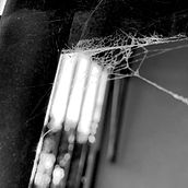 Fotografia. Fotografia projeto de Gabrielly Franco - 17.01.2023