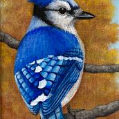 Blue jay . Un progetto di Pittura di Susan Robbins - 19.09.2024