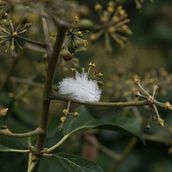 Edición Fotográfica. Een project van Fotografie y Retoucheren van foto's van Iratxe Cuadrado - 19.09.2024