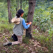 La ruta del Jaguar en Jaleaca de Catalán. Pós-produção fotográfica, Vídeo, Edição de vídeo, e Pós-produção audiovisual projeto de pasiondeportivagro - 05.09.2024