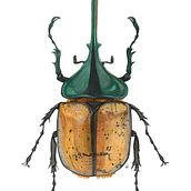 Walter García . Ilustrație tradițională de Walter Garcia - 09.20.2024