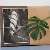 Effimera di natura. Un proyecto de Creatividad, Fotografía artística, Fotografía y Autorretrato Fotográfico de Paolo Menduni - 21.09.2024